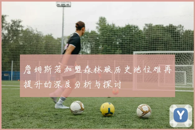 詹姆斯若加盟森林狼历史地位难再提升的深度分析与探讨