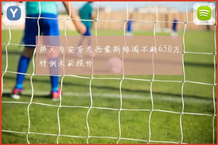 热火与安芬尼西蒙斯绯闻不断650万特例未获报价